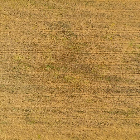 Letecký snímek pole připraveného k postřiku